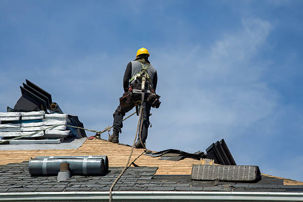 Professional Roof Inspection technician working in Maple Hill, NC